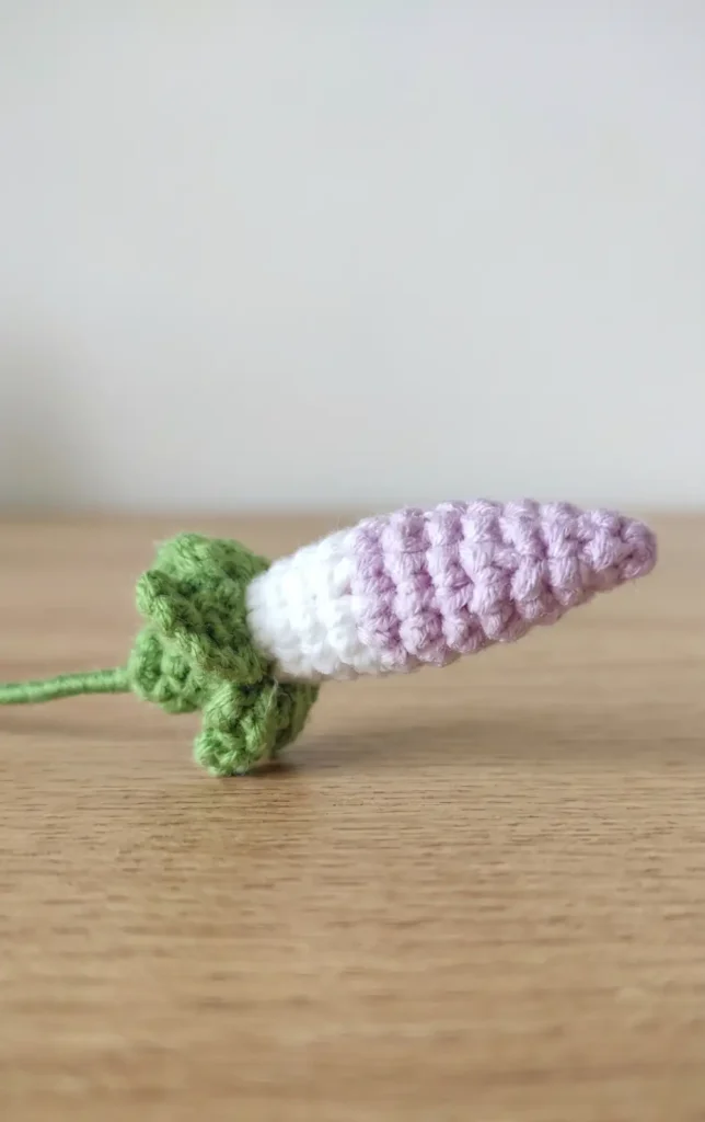 Crochet Morning Glory Flower