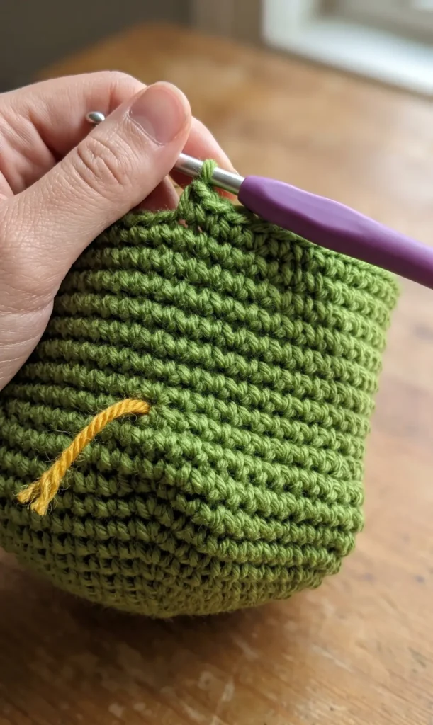 Crochet Amigurumi Dinosaur