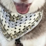 Crochet Pet Bandana Free Patterns