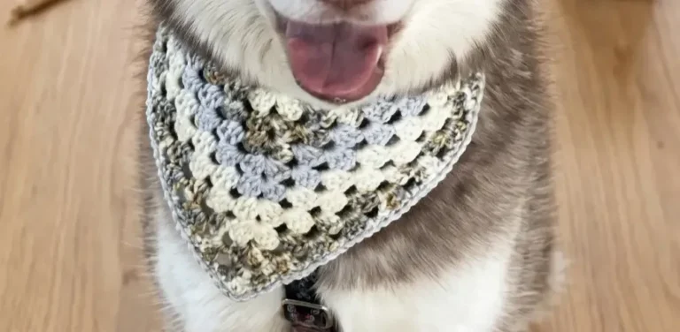 Crochet Pet Bandana Free Patterns