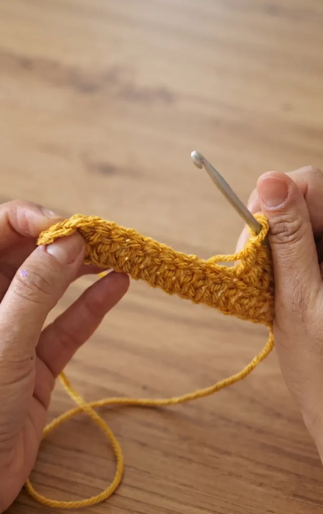 Crochet Easy Granny Scarf with Fringe