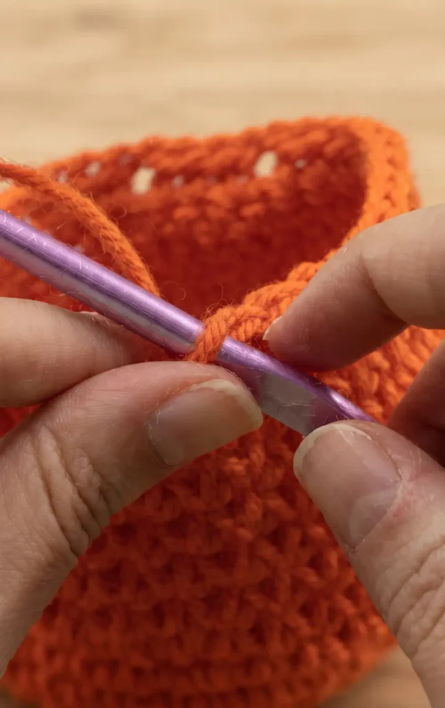 Crochet Pumpkin Drawstring Bag
