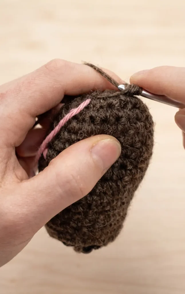 How to crochet Amigurumi Crocheted Sloth