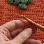 How to Crochet a Fall Throw Pillow