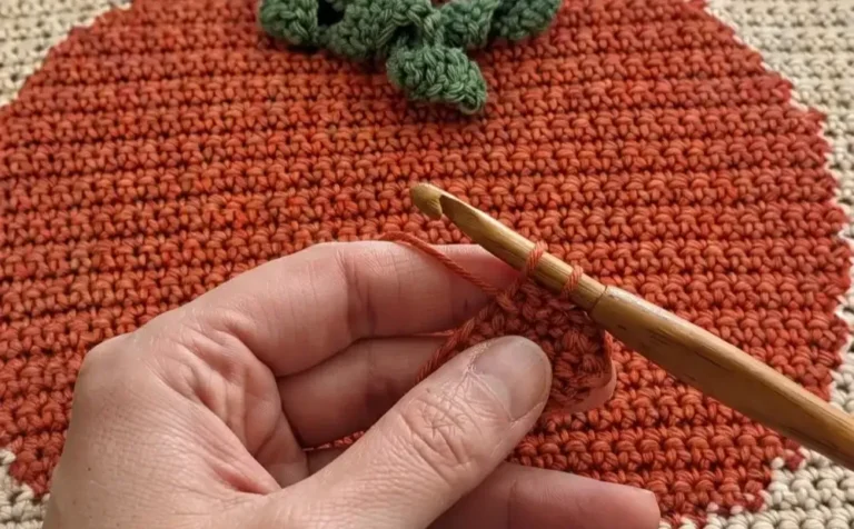 How to Crochet a Fall Throw Pillow