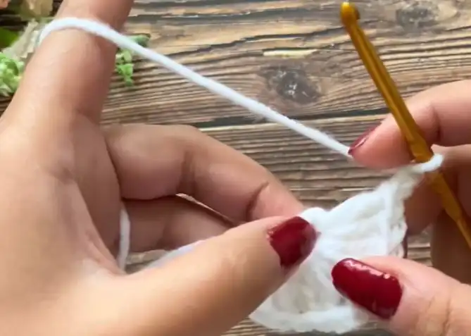 Crochet Maple Leaf Granny Square EASY Tutorial for Beginners