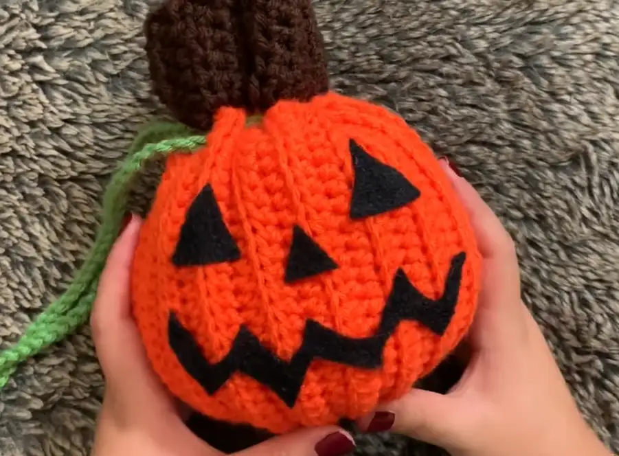 Crochet Pumpkin Treat Bag